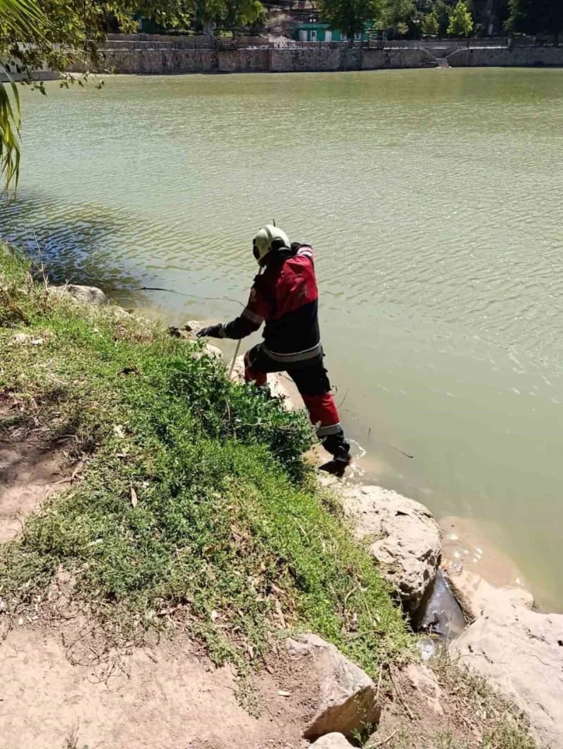Hatay Reyhanlı Yenişehir gölü kenarında ekipler tarafından yakalanan yılan doğaya bırakılıyor