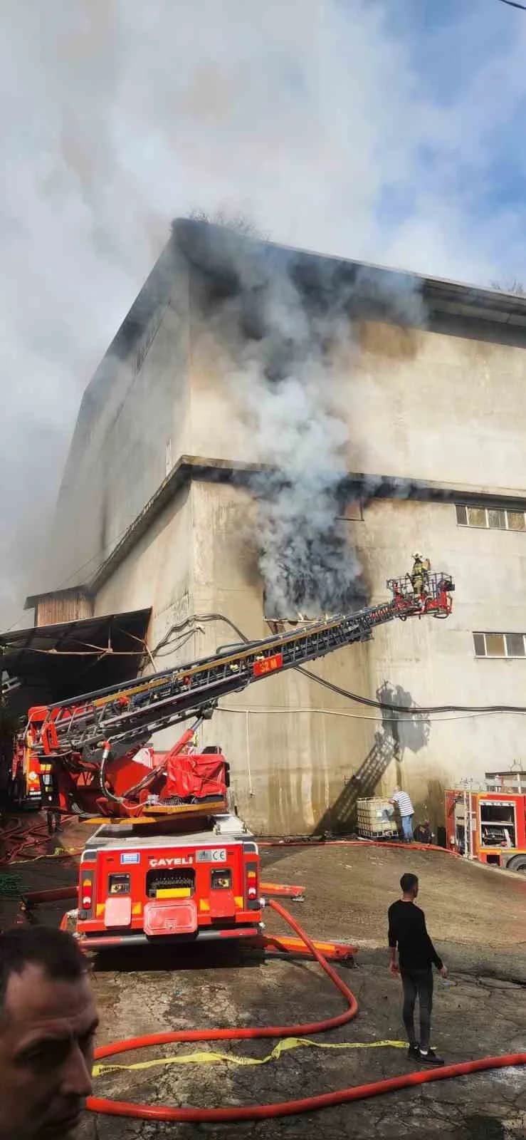 Rize’nin Çayeli ilçesinde özel bir Çay firmasına ait fabrikanın ambalaj deposunda yangın çıktı. Depoda işlenmiş çayın bu