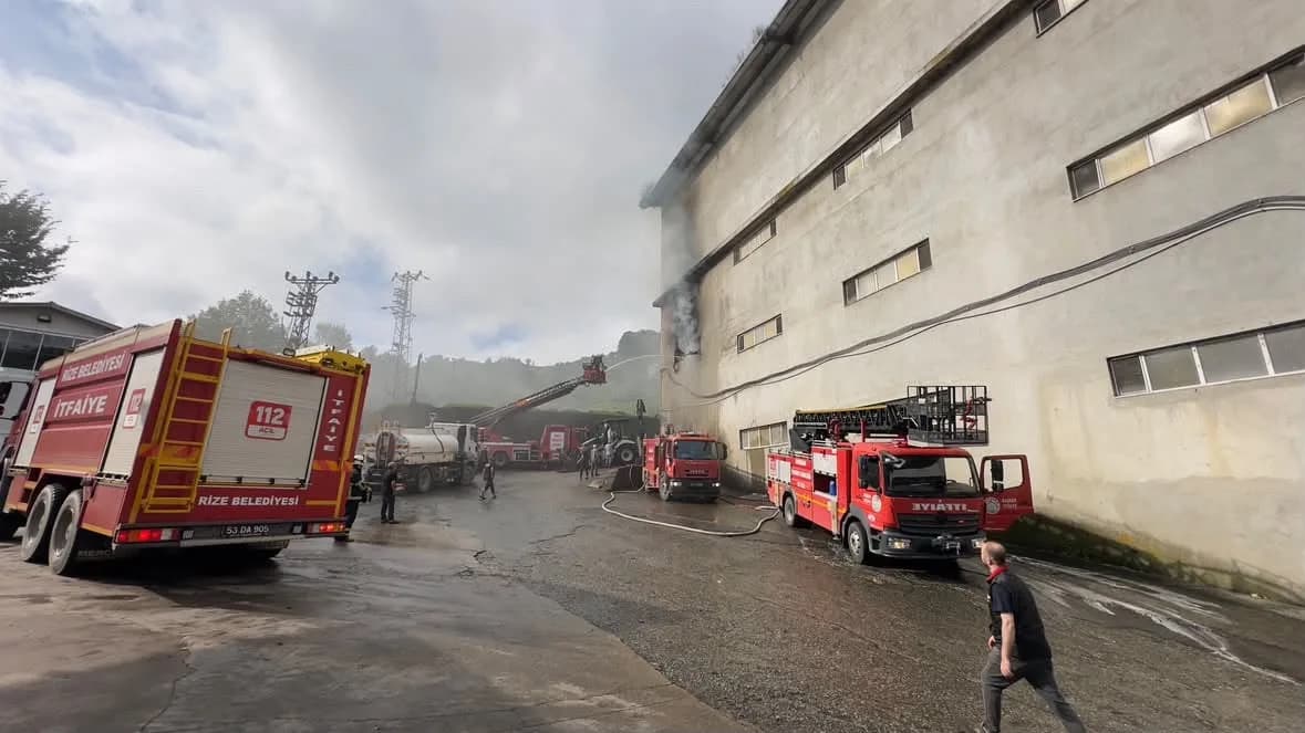Rize’nin Çayeli ilçesinde özel bir Çay firmasına ait fabrikanın ambalaj deposunda yangın çıktı. Depoda işlenmiş çayın bu