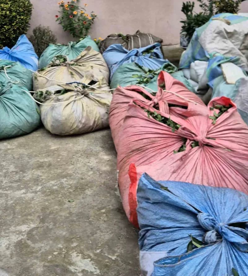 Rize'nin Pekmezli köyünde elektrik kesilince teleferiği çalışmayan çay üreticisinin imdadına, aracının harici güç (V2L)