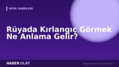 Rüyada Kırlangıç Görmek Ne Anlama Gelir?