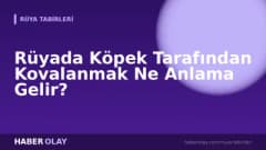Rüyada Köpek Tarafından Kovalanmak Ne Anlama Gelir?