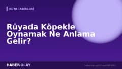 Rüyada Köpekle Oynamak Ne Anlama Gelir?