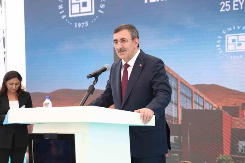 Cumhurbaşkanı Yardımcısı Cevdet Yılmaz