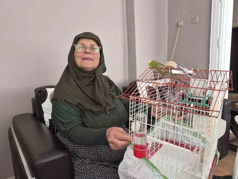 Eskişehir'de 67 yaşındaki Fatma Gül Üstfidan, ölmek üzereyken sahiplendiği 'fıstık' isimli muhabbet kuşunun hayat arkada