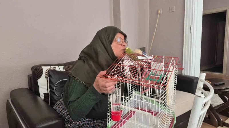 Eskişehir'de 67 yaşındaki Fatma Gül Üstfidan, ölmek üzereyken sahiplendiği 'fıstık' isimli muhabbet kuşunun hayat arkada