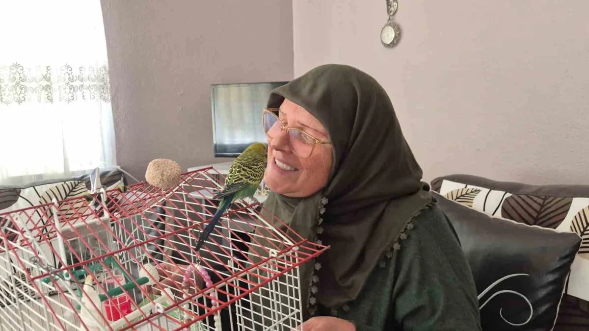 Eskişehir'de 67 yaşındaki Fatma Gül Üstfidan, ölmek üzereyken sahiplendiği 'fıstık' isimli muhabbet kuşunun hayat arkada