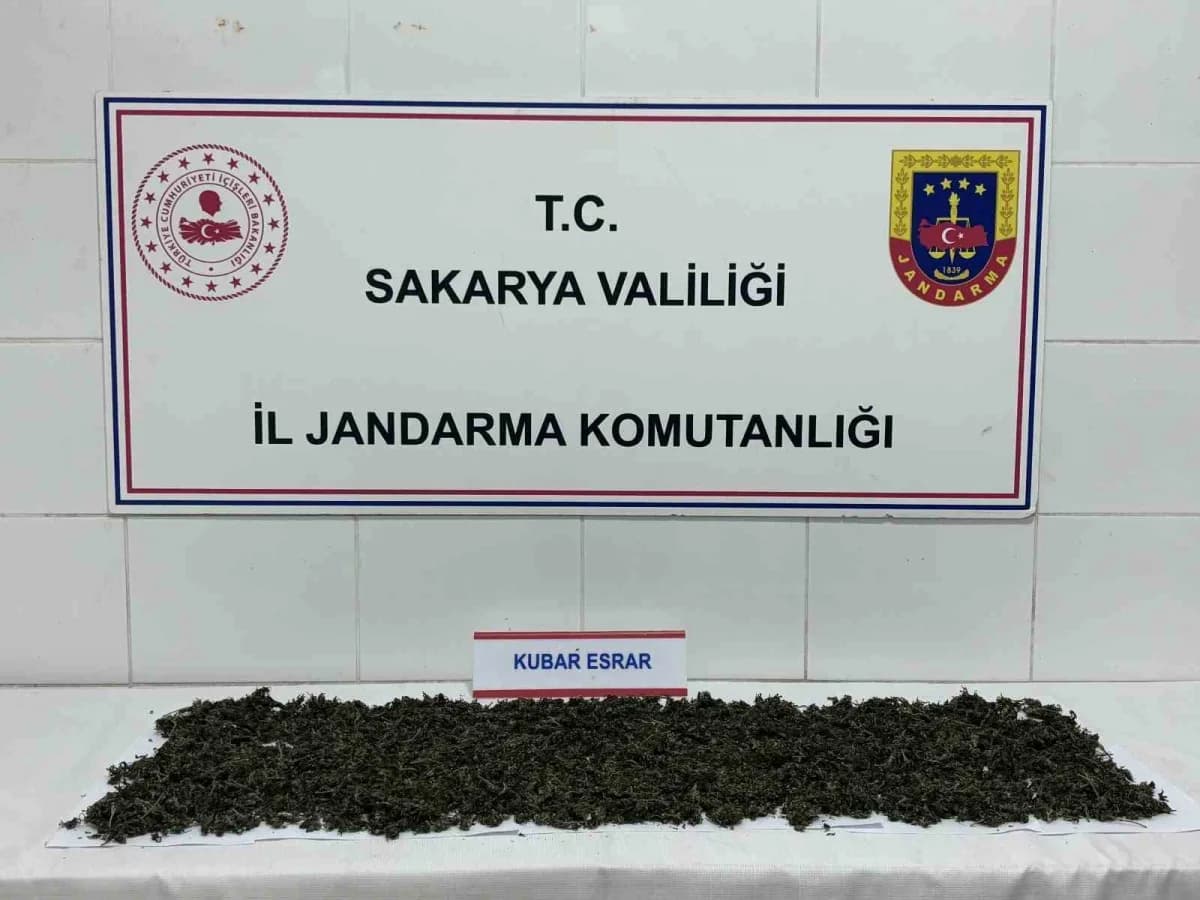 Sakarya’nın Pamukova, Karasu ve Kocaali ilçelerinde Jandarma ekiplerince düzenlenen uyuşturucu operasyonlarında gözaltın