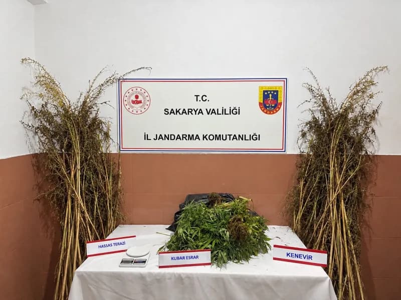 Sakarya’nın Pamukova, Karasu ve Kocaali ilçelerinde Jandarma ekiplerince düzenlenen uyuşturucu operasyonlarında gözaltın