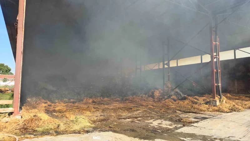 Samsun’un Bafra ilçesinde binlerce hayvanın bulunduğu çiftlikte samanlık deposu yangını havadan dronla görüntülendi.
