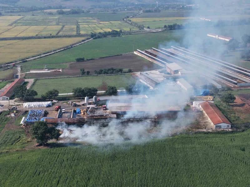 Samsun’un Bafra ilçesinde binlerce hayvanın bulunduğu çiftlikte samanlık deposu yangını havadan dronla görüntülendi.