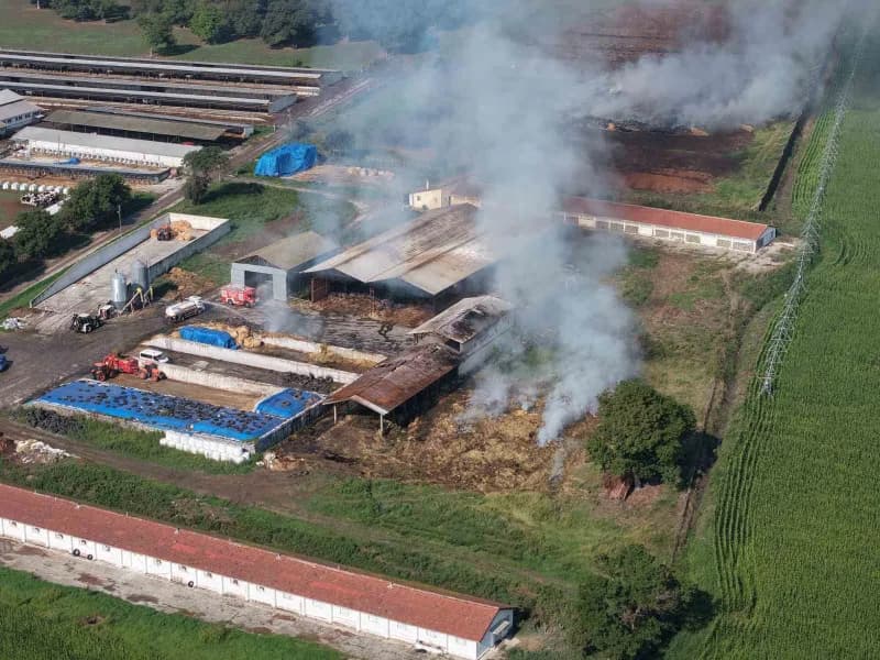 Samsun’un Bafra ilçesinde binlerce hayvanın bulunduğu çiftlikte samanlık deposu yangını havadan dronla görüntülendi.