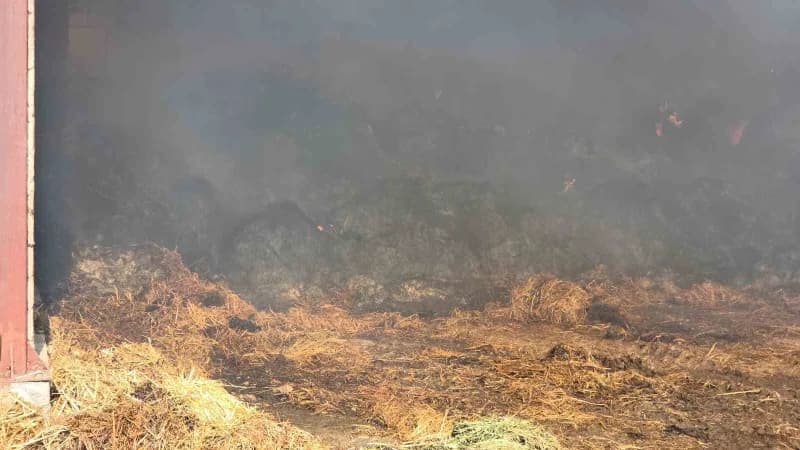 Samsun’un Bafra ilçesinde binlerce hayvanın bulunduğu çiftlikte samanlık deposu yangını havadan dronla görüntülendi.