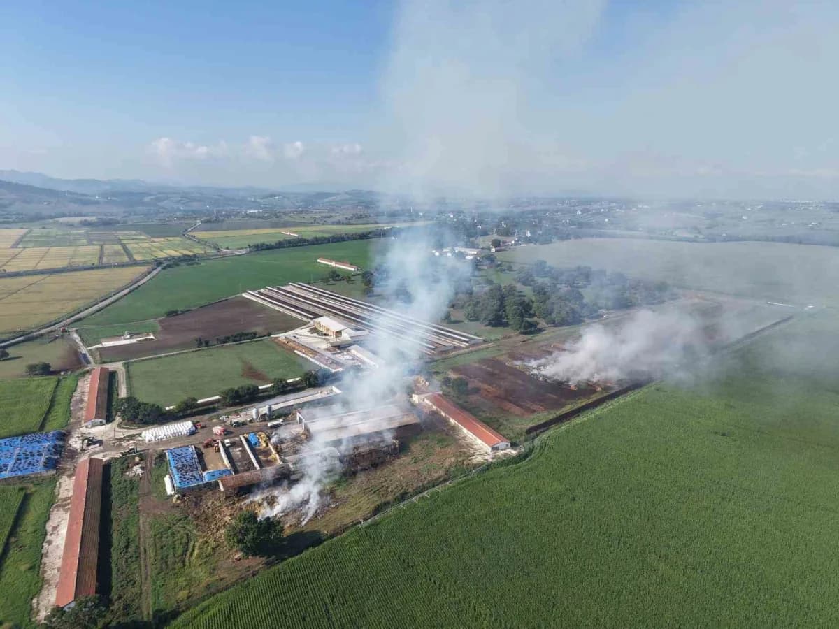 Samsun’un Bafra ilçesinde binlerce hayvanın bulunduğu çiftlikte samanlık deposu yangını havadan dronla görüntülendi.