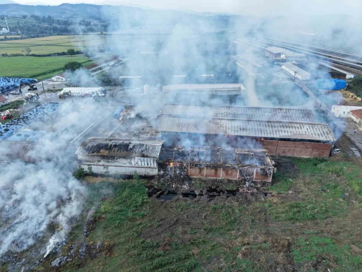 Samsun Bafra'da saman deposunda çıkan yangının ardından itfaiye ekiplerinin müdahalesi ve dronla çekilen hasar görüntüle