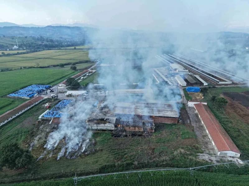 Samsun’un Bafra ilçesinde binlerce hayvanın bulunduğu çiftlikte samanlık deposu yangını havadan dronla görüntülendi.