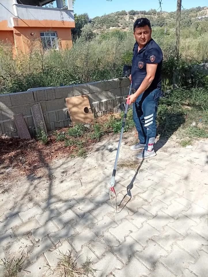 Samandağ Ataköy Mahallesi yerleşim yerinde yakalanan yılan doğaya bırakılıyor