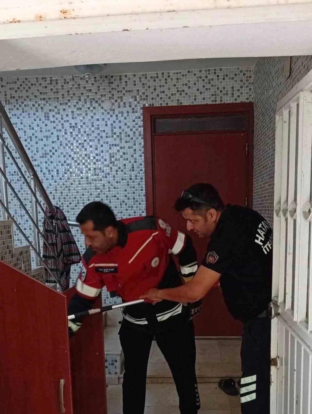 Samandağ Ataköy Mahallesi’nde yerleşim yerinde yakalanarak doğal yaşam alanına bırakılan yılan.