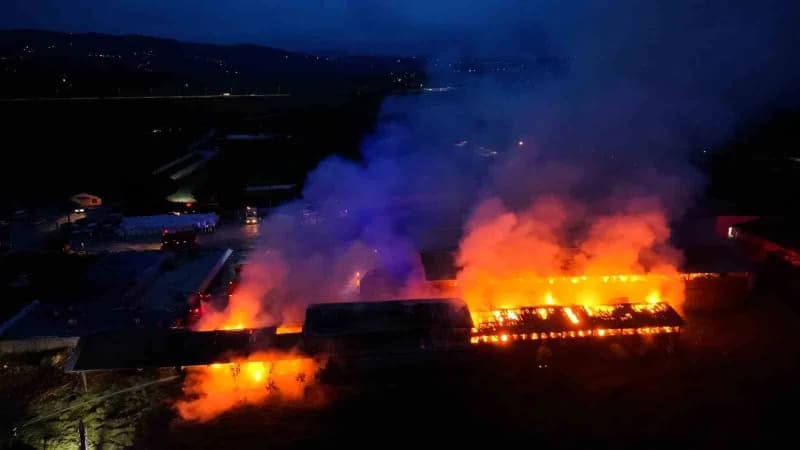 Samsun'da bir çiftlikte bulunan saman deposu, çıkan yangında alevlere teslim oldu.