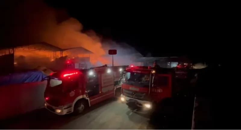 Samsun’da bir çiftlikte bulunan saman deposunda çıkan yangın paniğe neden oldu.