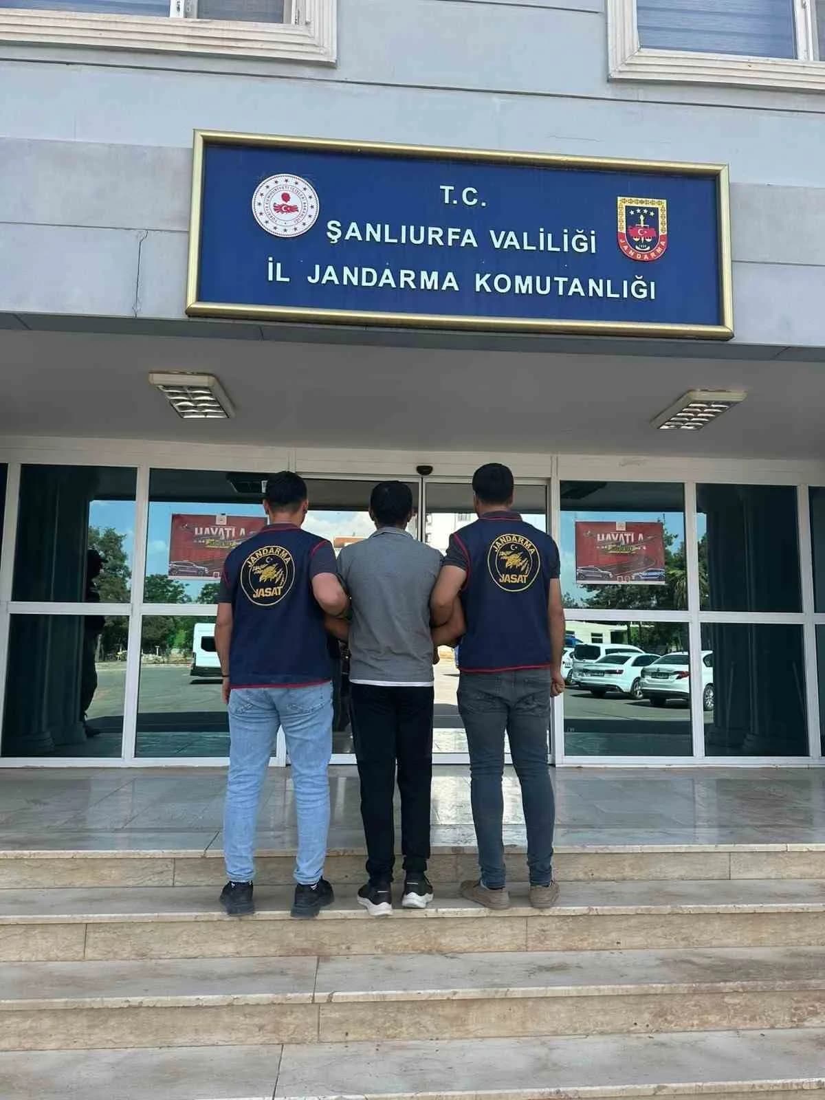 Şanlıurfa Eyyübiye ilçesinde jandarma ekipleri operasyon yaparken