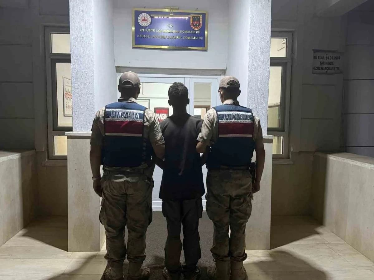 Şanlıurfa’da jandarma ekiplerinin göçmen kaçakçılığı operasyonu sırasında gözaltına alınan zanlılar