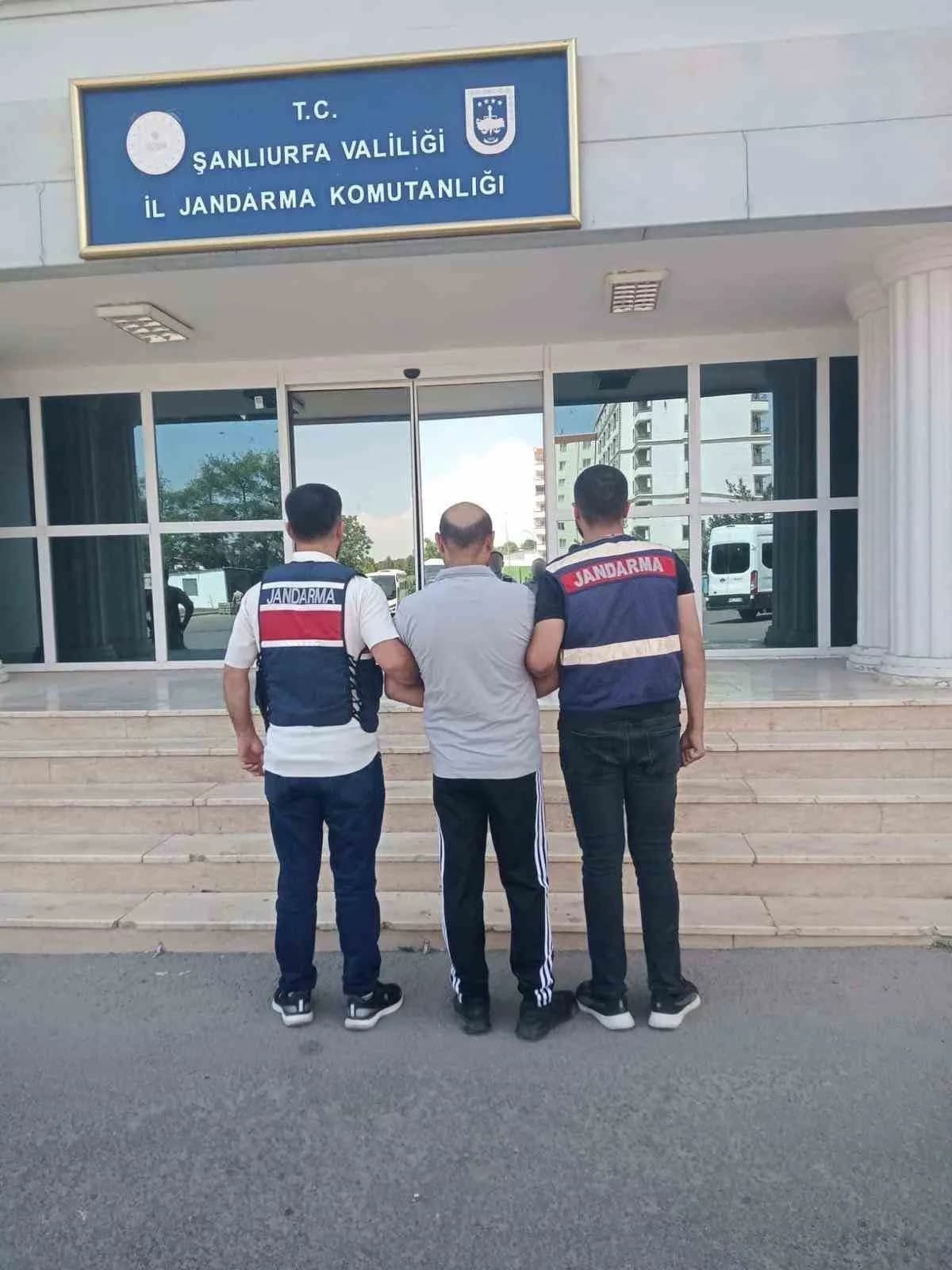 Şanlıurfa'da jandarmanın Göçmen Kaçakçılığı operasyonunda 20 şüpheli gözaltına alındı