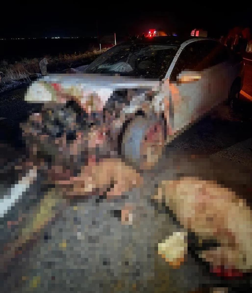 Otomobilin çarptığı çok sayıda koyun da telef oldu.