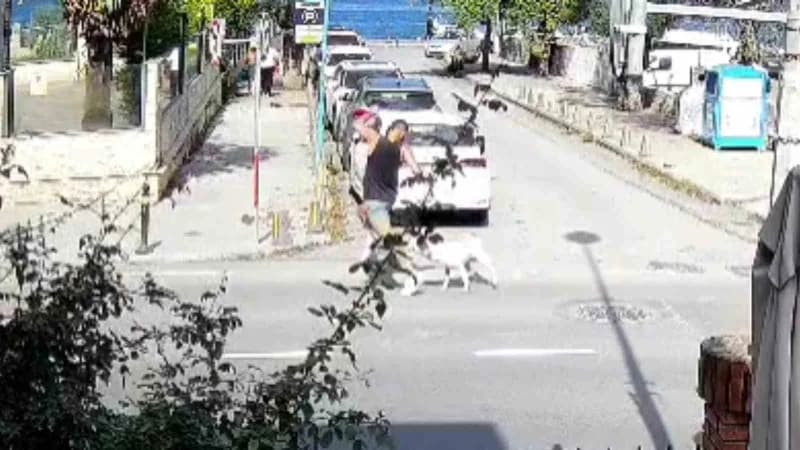 Sarıyer Kireçburnu’nda başıboş köpeklerin vatandaşlara saldırdığı anların kamera görüntüsü