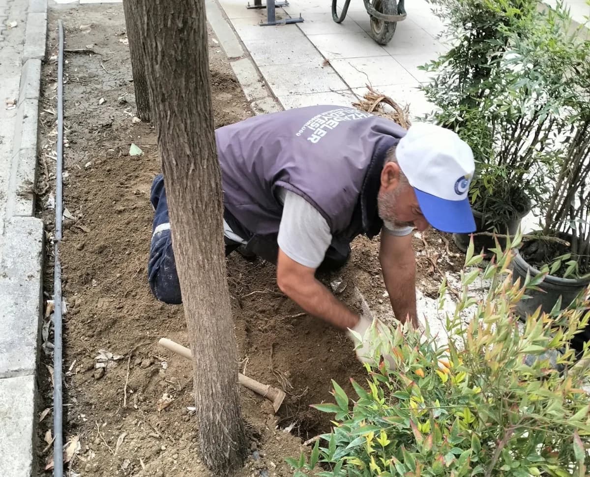 Şehzadeler Belediyesi Park ve Bahçeler Müdürlüğü ekipleri, ilçe genelindeki Park ve yeşil alanlarda bakım, onarım, temiz