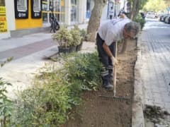 Şehzadeler’de parkta çim biçme ve peyzaj çalışması yapan belediye ekipleri
