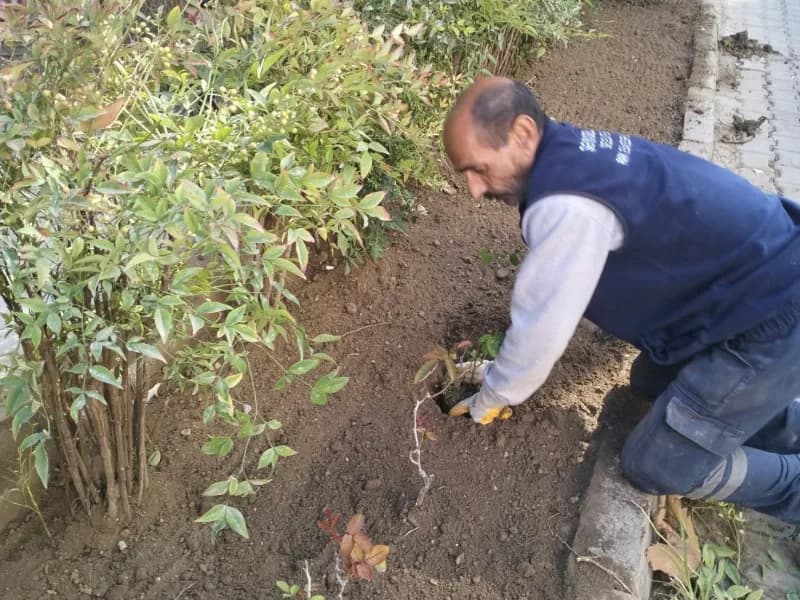 Şehzadeler Belediyesi Park ve Bahçeler Müdürlüğü ekipleri, ilçe genelindeki Park ve yeşil alanlarda bakım, onarım, temiz