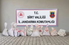 Siirt Kayaboğaz köyünde çalınan fıstıkların bulunduğu çuvallar ve jandarma ekipleri