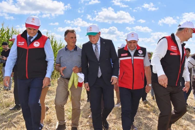 Van’ın Tuşba ilçesine bağlı Tevekli Mahallesi’nde üretici Turgay Kıran’a ait tarlada "Silajlık Mısır Hasadı Tarla Günü P