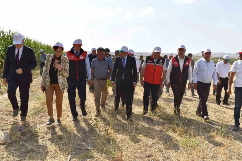 Van’ın Tuşba ilçesine bağlı Tevekli Mahallesi’nde üretici Turgay Kıran’a ait tarlada "Silajlık Mısır Hasadı Tarla Günü P