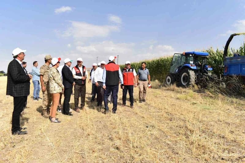 Van’ın Tuşba ilçesine bağlı Tevekli Mahallesi’nde üretici Turgay Kıran’a ait tarlada "Silajlık Mısır Hasadı Tarla Günü P