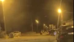 Sinop Saraydüzü ilçesinde gece saatlerinde ilçe merkezine inen ayının park halindeki araçların arasında dolaşması