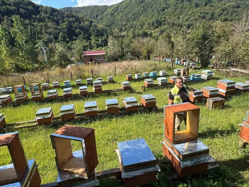 Sinop’un Erfelek ilçesinde arıcılığa başlayan Genç Girişimci Esra Yıldırım’a, yüzde 70 hibe oranıyla 774 bin 200 TL dest