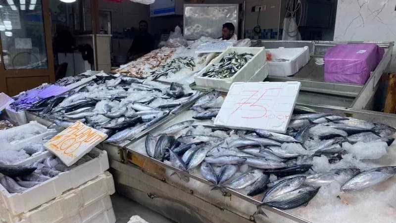 Sinop’ta balıkçılık yapan Mert Kanal, kentte uygulanan geleneksel balık tuzlama yöntemlerini anlatarak, lakerda yapımınd
