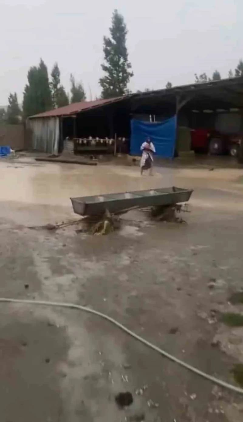 Sivas’ta dün akşam saatlerinde etkili olan şiddetli sağanak yağış derelerin taşmasına ve tarım arazilerinin sular altınd