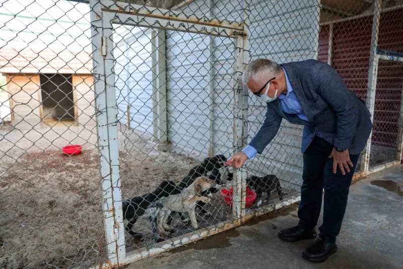 Sivas Valisi Yılmaz Şimşek, kentte sağlık, ulaşım, eğitim, Hayvan Bakım ve bilim-teknoloji alanlarında yürütülen yatırım