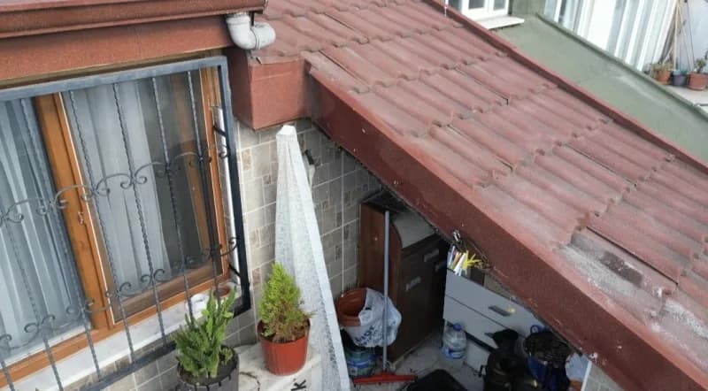 Sultangazi’de 5 katlı binanın çatısında yuva yapan arıların yoğun uçuşu ve boşluklara giriş çıkışları