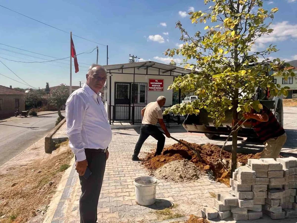 Sultanhisar ilçesinde yeni dikilen fidanlar ve ağaçlandırma çalışmaları