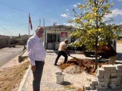Sultanhisar ilçesinde yeni dikilen fidanlar ve ağaçlandırma çalışmaları