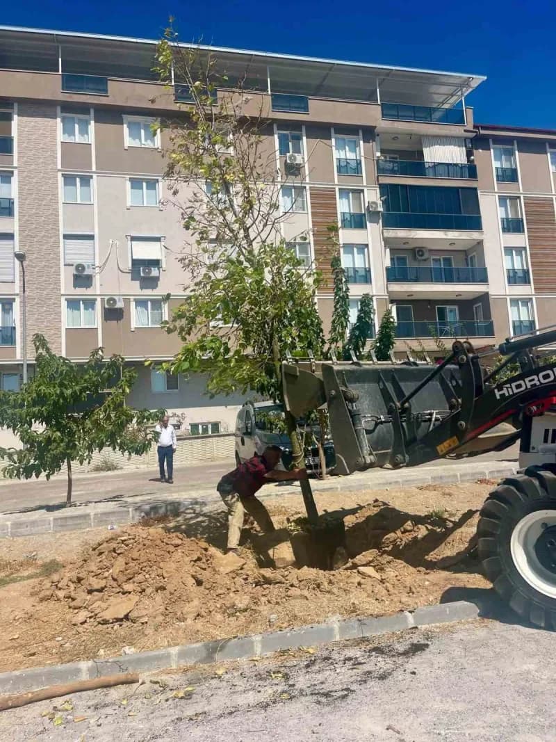 Sultanhisar Belediyesi tarafından ilçenin farklı noktalarında yürütülen ağaçlandırma çalışmaları aralıksız devam ederken