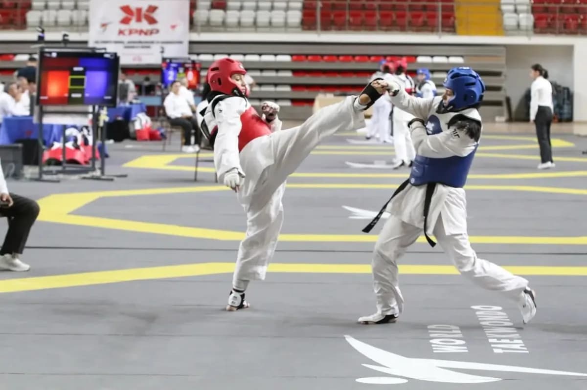 Sivas'ta Taha Akgül Spor Salonu'nda düzenlenen Taekwondo Doğu Grubu Müsabakalarından bir kare