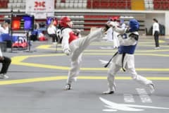 Sivas'ta Taha Akgül Spor Salonu'nda düzenlenen Taekwondo Doğu Grubu Müsabakalarından bir kare