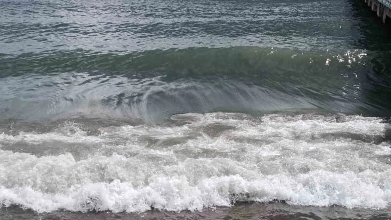 Tekirdağ limanında fırtına nedeniyle limanda bekleyen balıkçı tekneleri ve bakım yapan balıkçılar