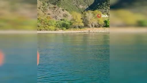 Tekirdağ Süleymanpaşa açıklarında Marmara Denizi’nde yüzen karaca görüntüsü
