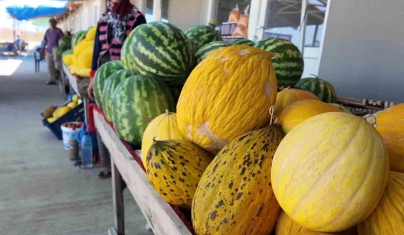 Domatesten bibere, kavun ve karpuzdan nohuta, yerli mercimekten mürdümüğe kadar çok sayıda ürün yetiştiren kadınlar, eme